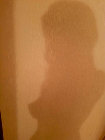 Шогик фото 3